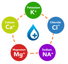 Regulating Electrolytes Naturally